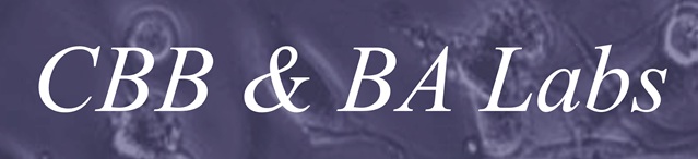CBB &amp; BA Labs