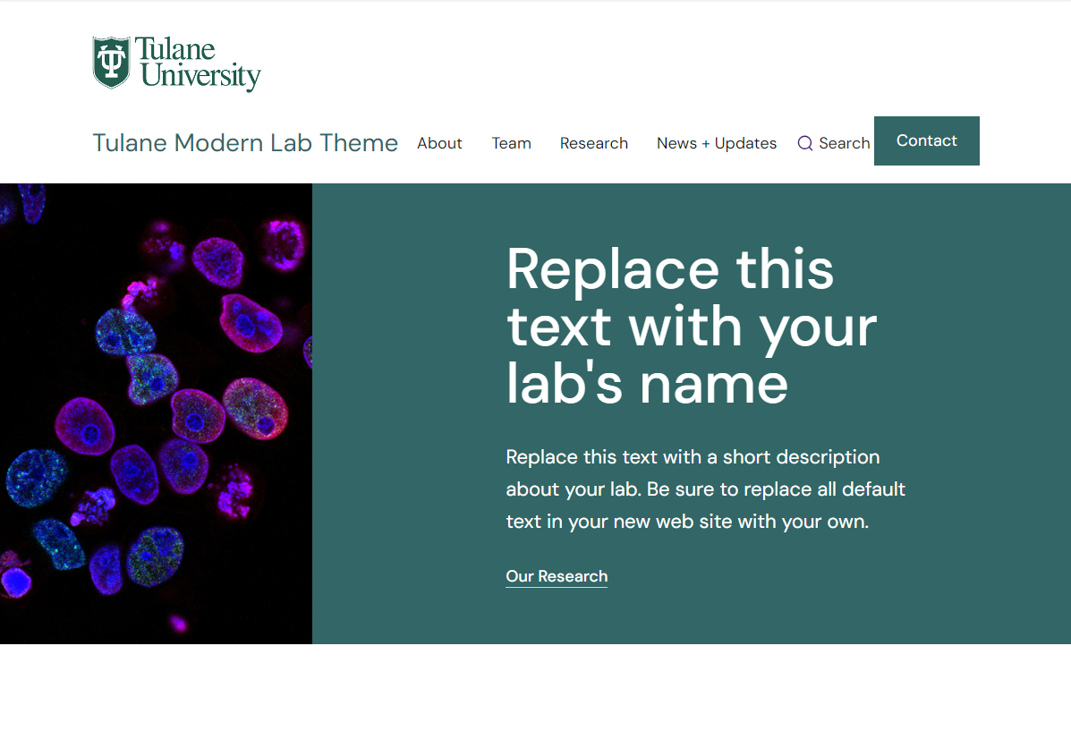 Tulane Modern Lab template screenshot