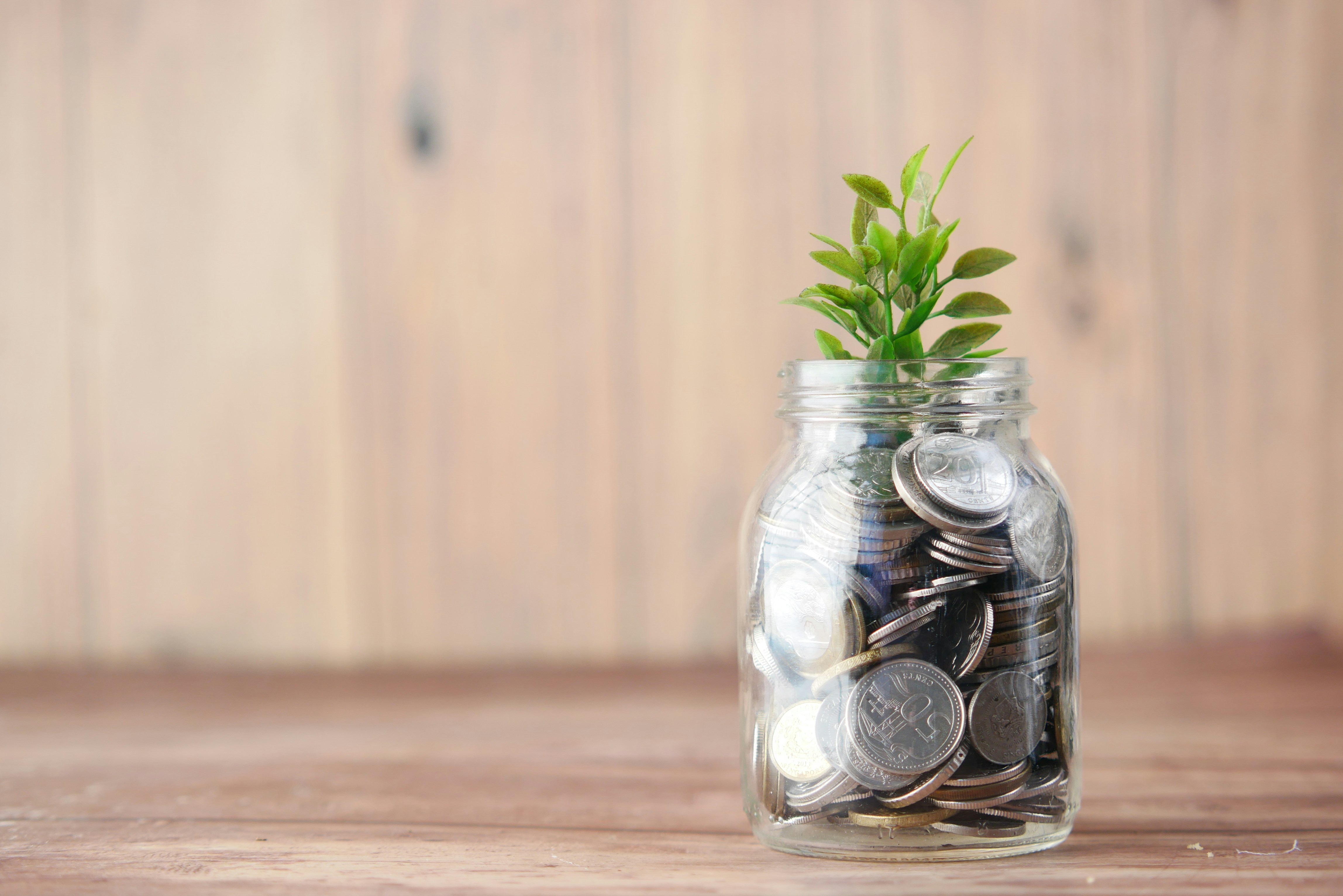 Glass jar full of coins with a plant growing from the top