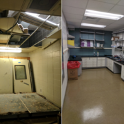lab reno