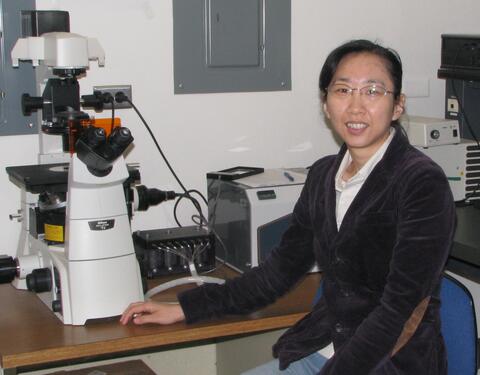 Carol Chen