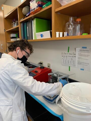 Owen weighs paraformaldehyde to make 6% formalin
