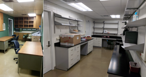 Lab reno