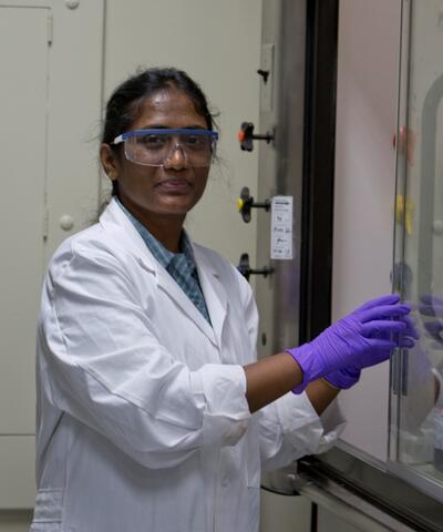 Punidha Sokkalingam