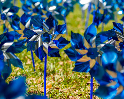 pinwheel