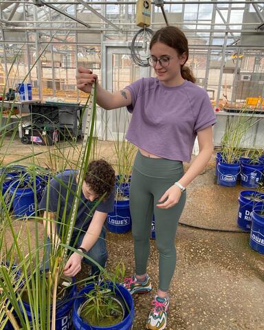 Measuring grass