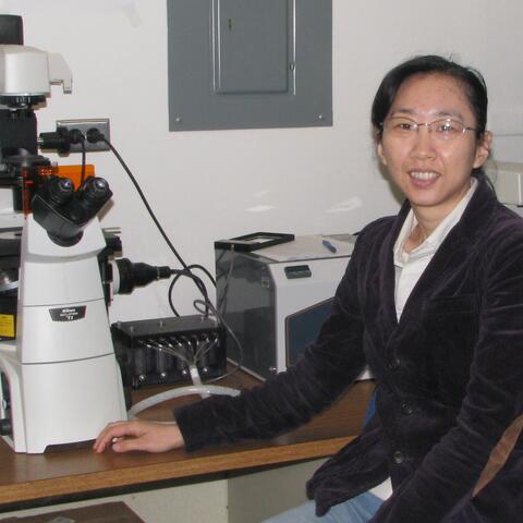 Carol Chen