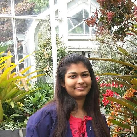 Nithya Kasireddy