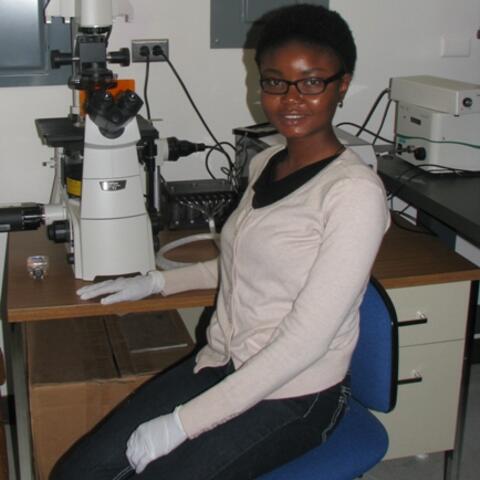 Uchenna C Onwuegbusi