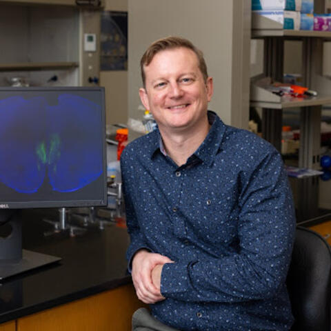 Dr. Fadok sits next to a screen showing IHC staining on a mouse brain slice