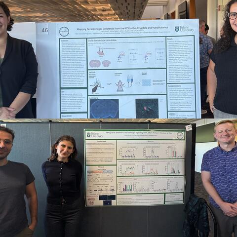 Lulu Sawaf and Maria Najar standing next to Lulu's poster in top image and Jose Noriega, Laura Lacavaro, and Dr. Fadok stand next to Laura's poster at symposium