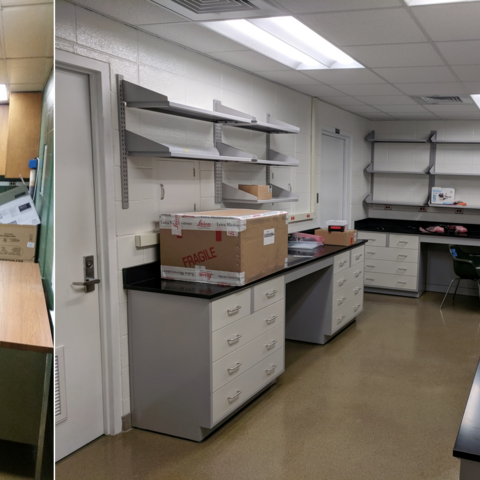 Lab reno