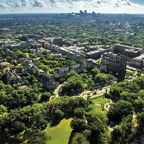 Tulane
