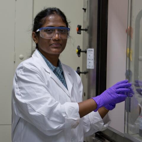 Punidha Sokkalingam