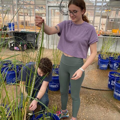Measuring grass
