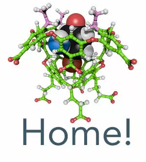 Gibb Lab logo
