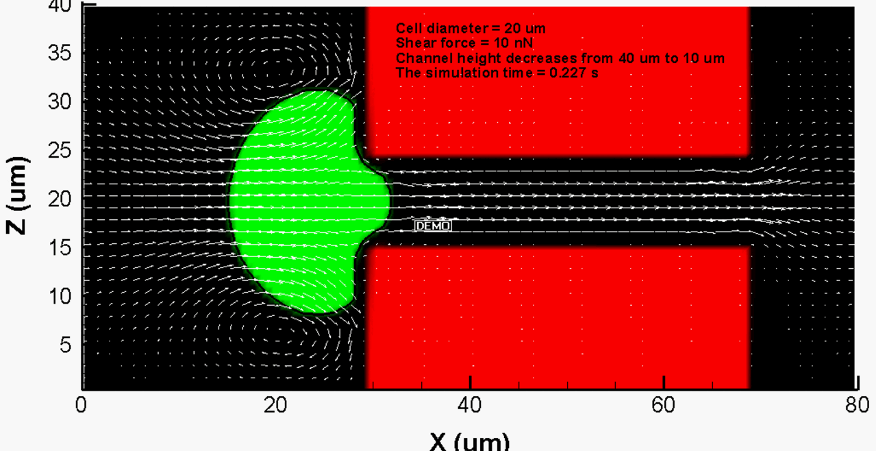 VECAM simulation