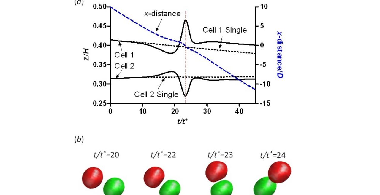 Passing two cells during their motion in a micro-channel