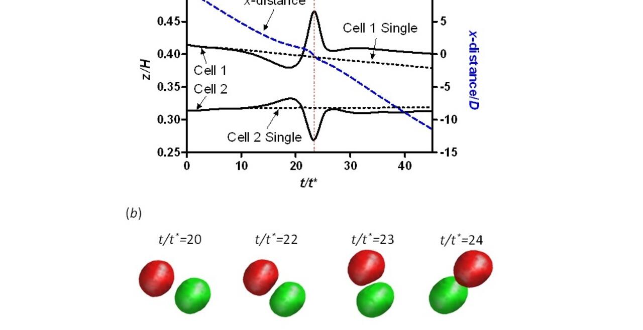 Passing two cells during their motion in a micro-channel