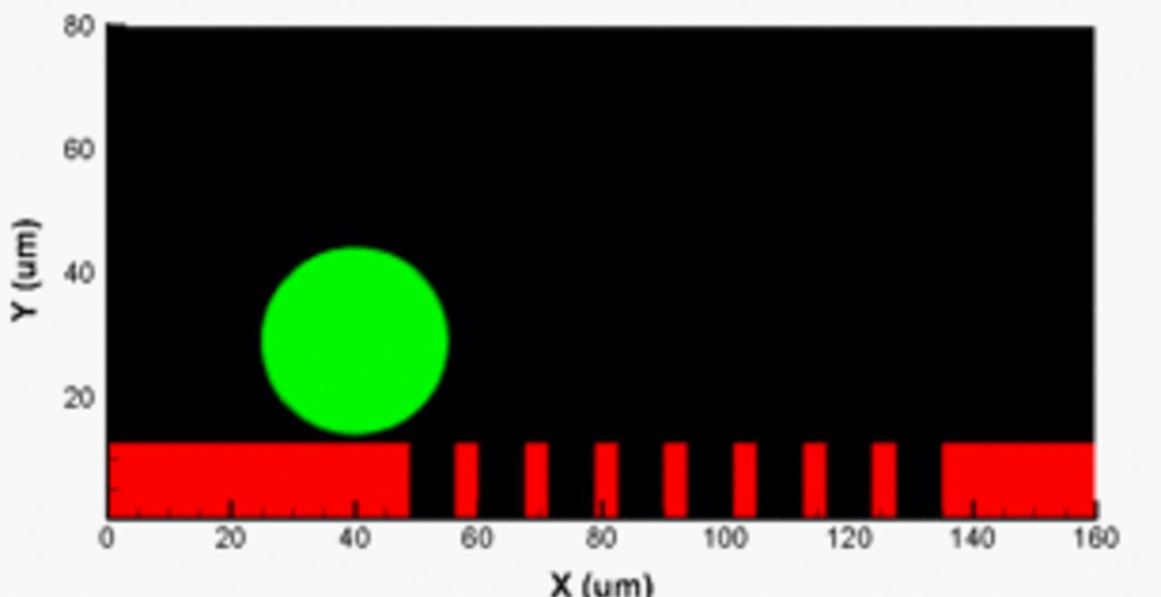 Cell interaction with grooved wall of a micro-channel