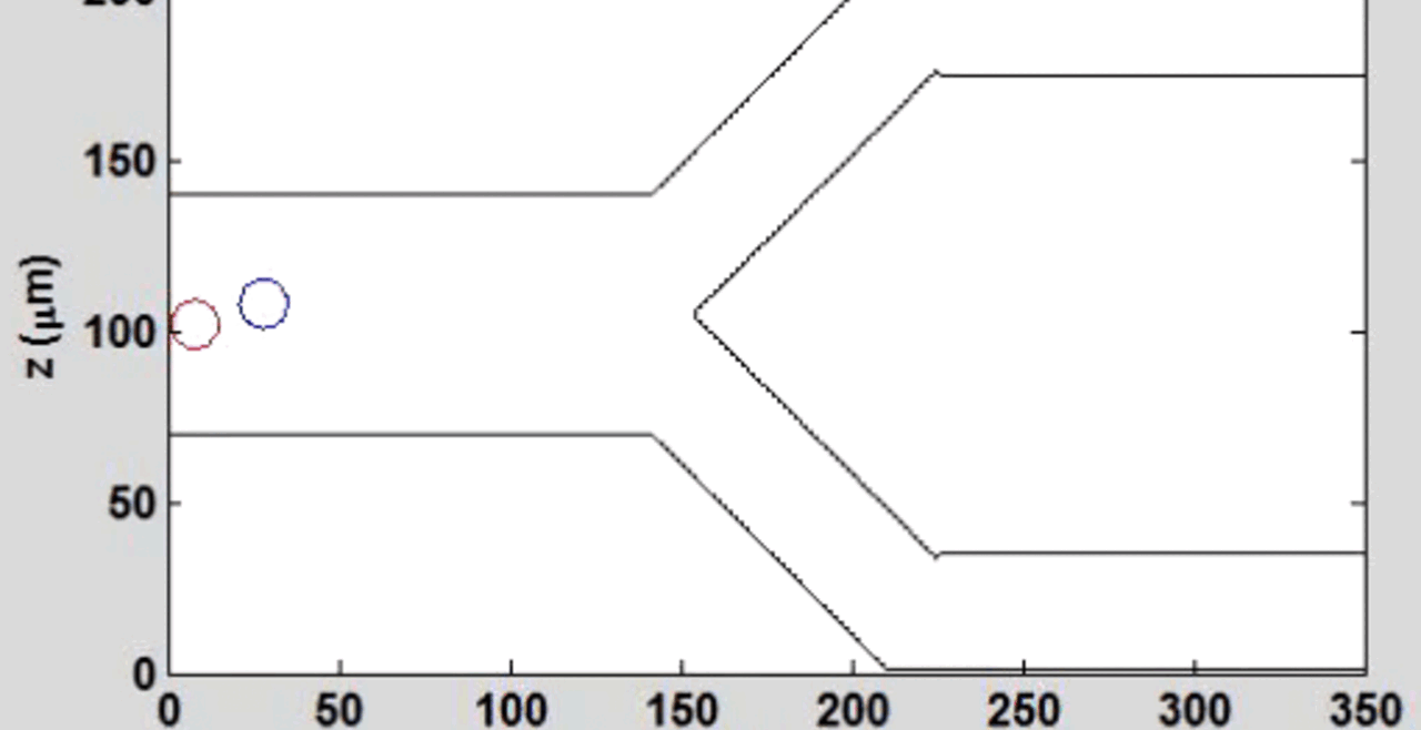 Cell separation in a bifurcating micro-channel