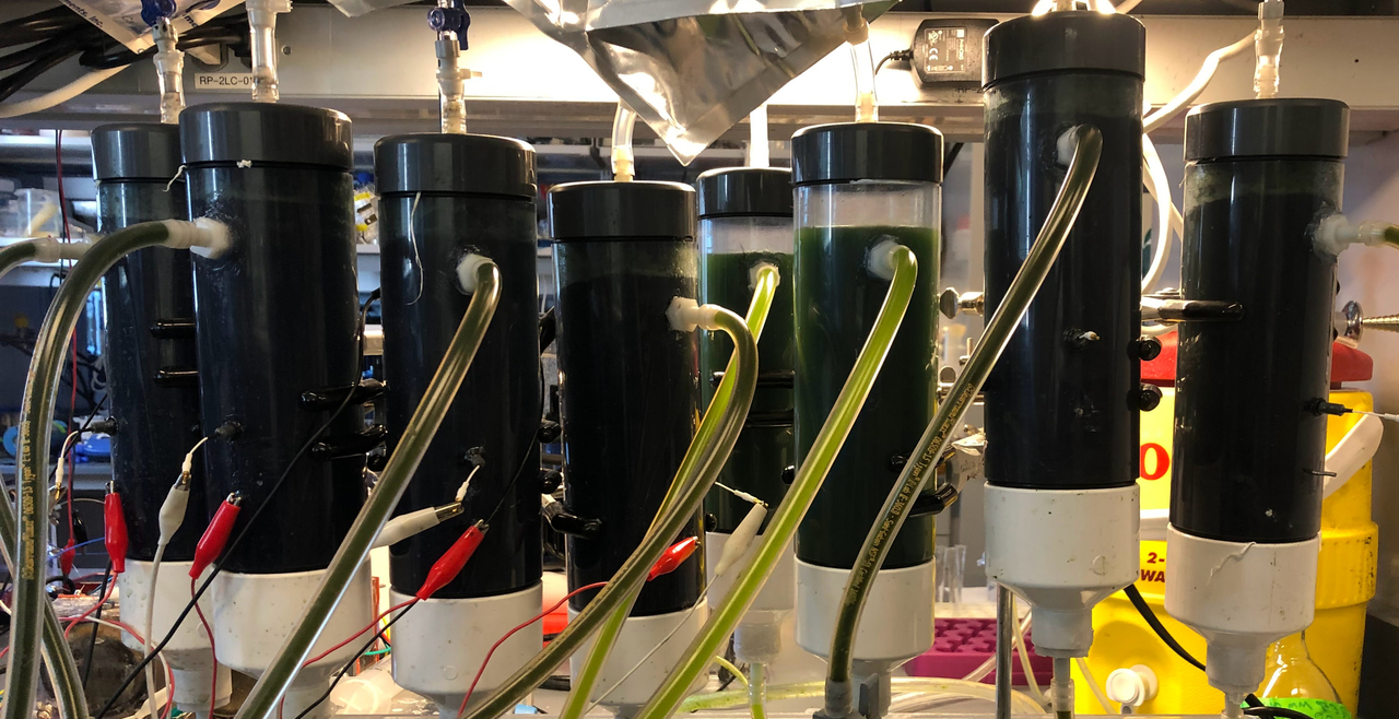 fluidized bed reactor