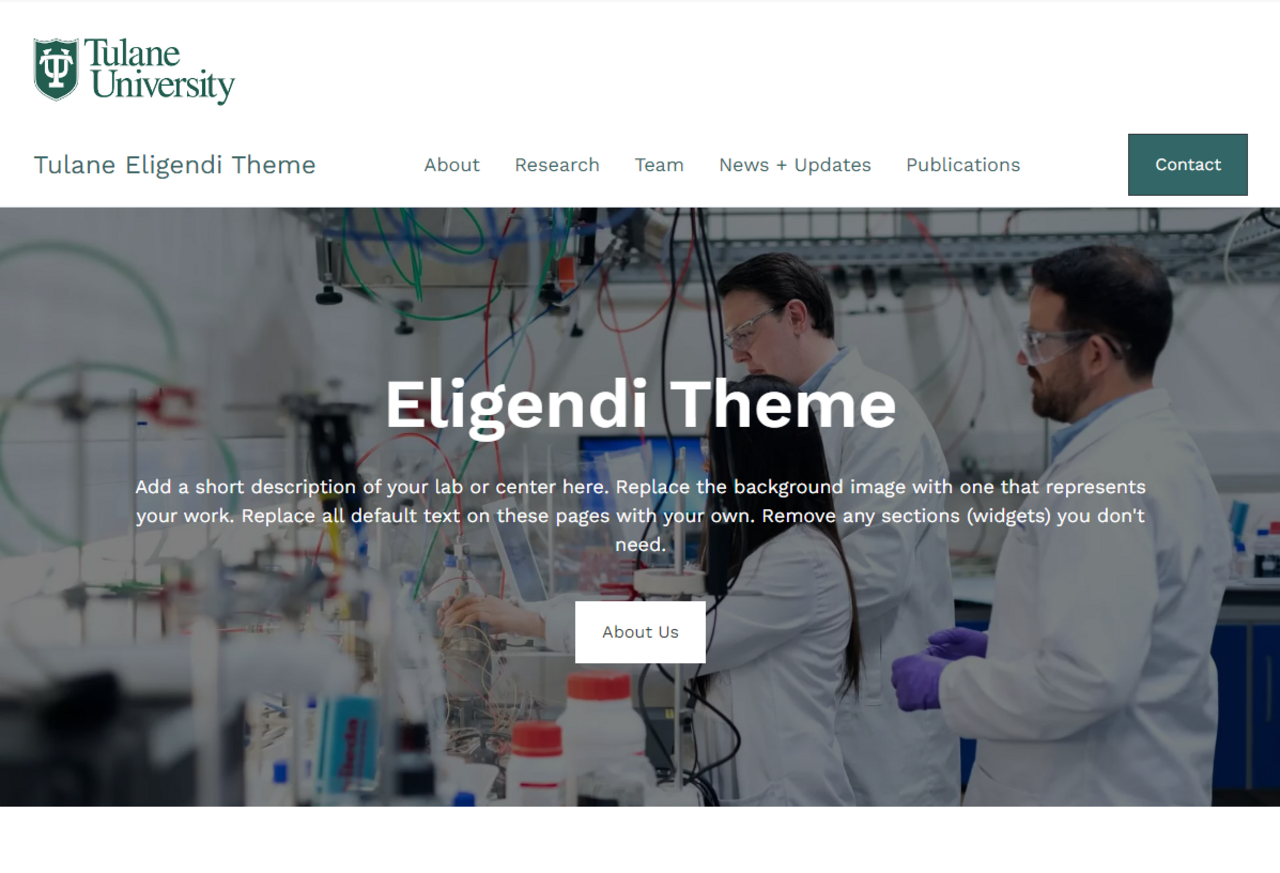 Tulane Eligendi template screenshot
