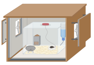 sleep-room-chamber