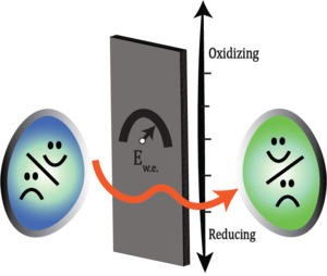 Two microbes with positive/negative interactions in front of an electrode