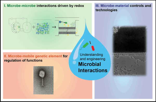 conceptual figure of lab - microbe-microbe, microbe-phage, microbe-mineral interactions