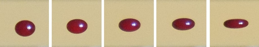 blood under quasi-static acoustic tweezing